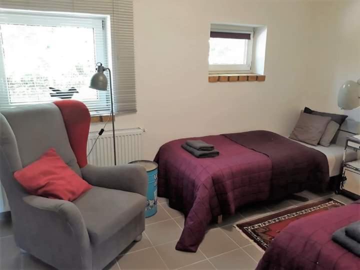 Dom Sztuk - House Of Arts Apartment Międzyrzecz Екстериор снимка