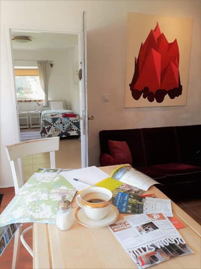 Dom Sztuk - House Of Arts Apartment Międzyrzecz Екстериор снимка
