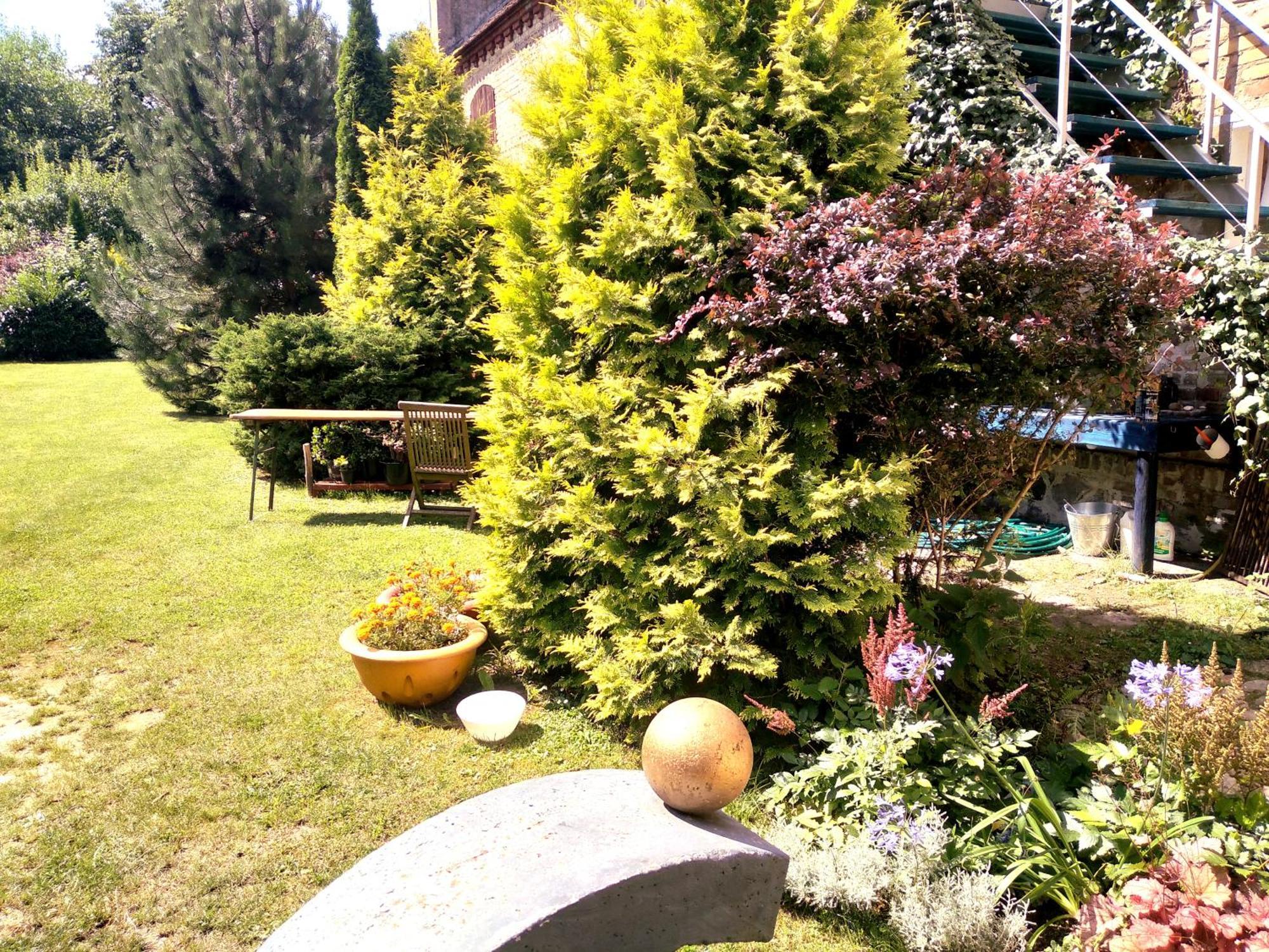 Dom Sztuk - House Of Arts Apartment Międzyrzecz Екстериор снимка