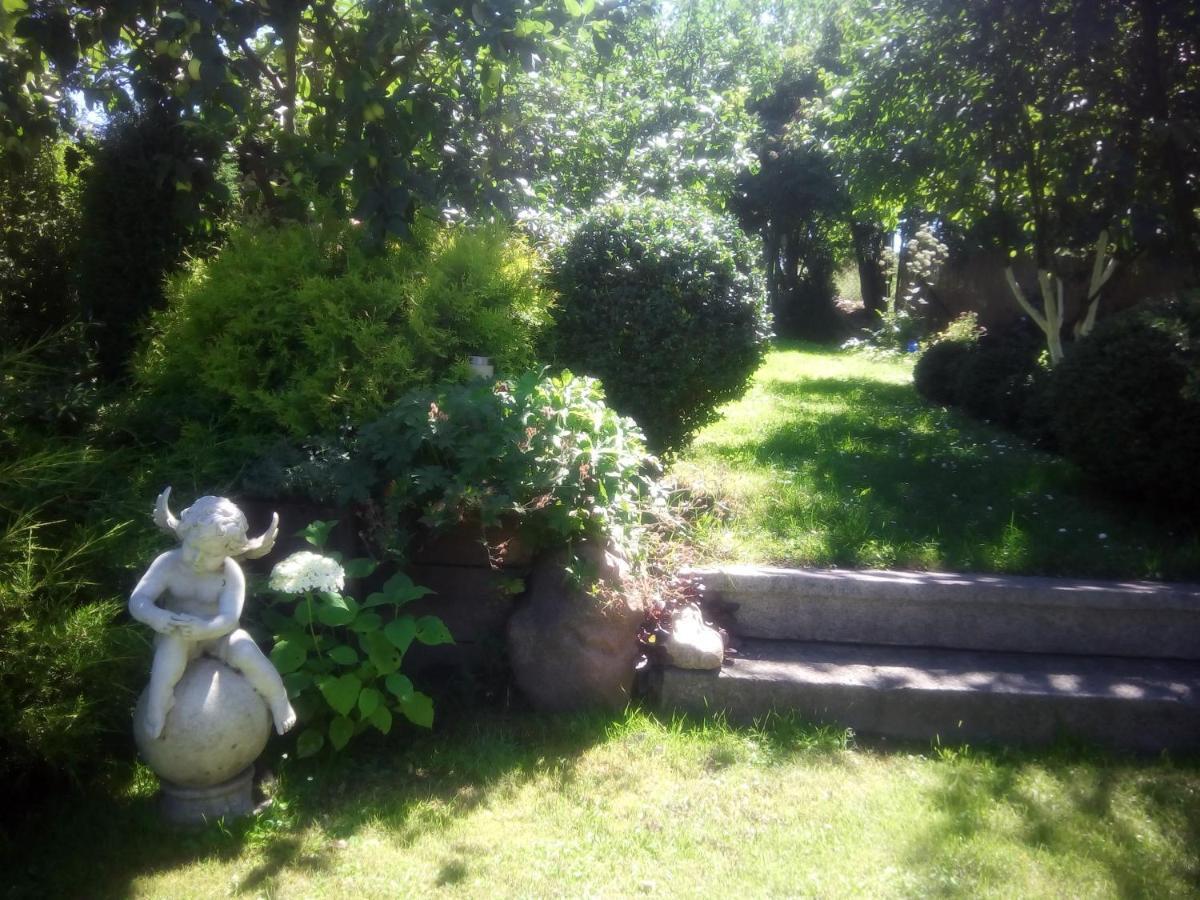 Dom Sztuk - House Of Arts Apartment Międzyrzecz Екстериор снимка